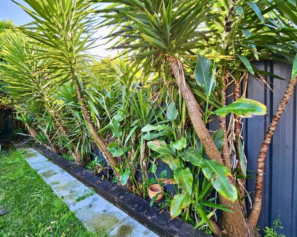 Personalized planting service is essential for a thriving garden. Create your dream garden with expert plant selection and care.