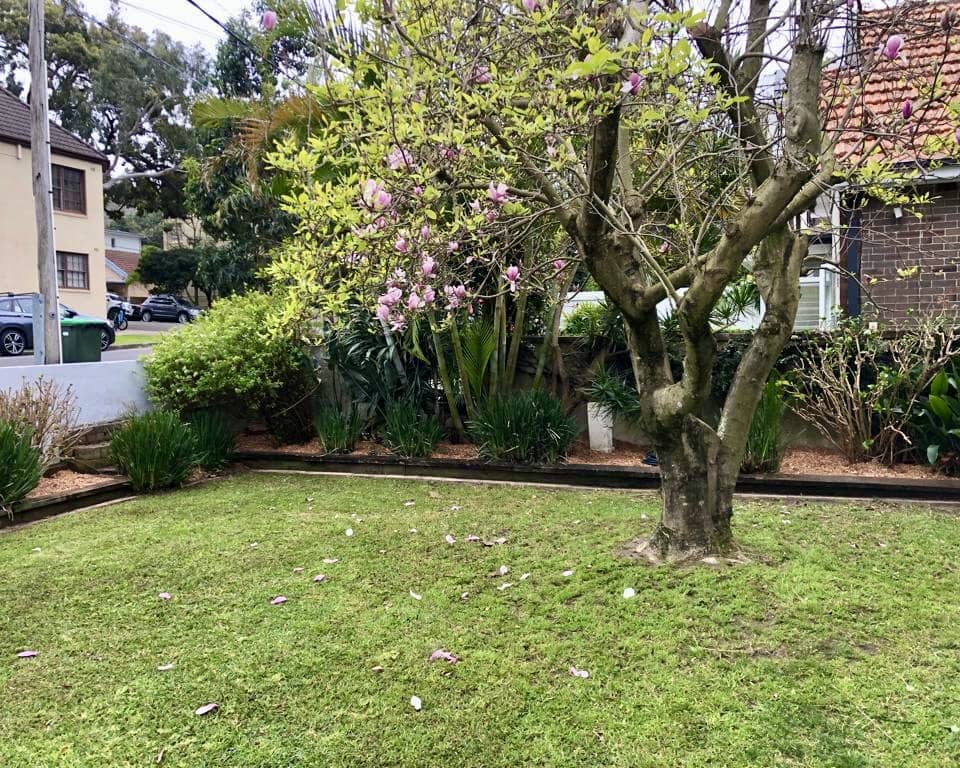 Professional tree and hedge removal in Sydney. Safely remove hazardous trees, branches, and shrubs after storms or decay.